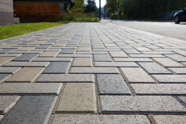 Best Driveway Pavers Near Me  in Nekoosa, WI